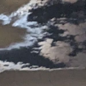 Meet your Posher, Roosevelt